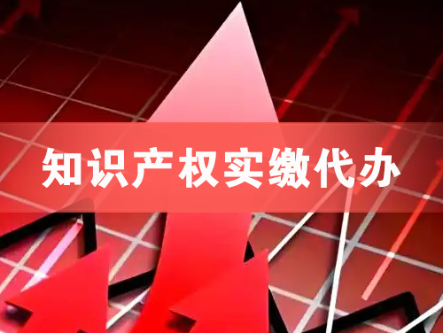 凌海知识产权实缴资本代办